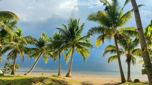 Comment les plateformes de réservation en ligne transforment-elles le marché du voyage ?