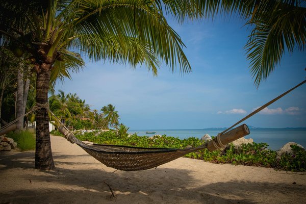 Préparer sa visite du puy du fou : tout ce qu'il faut savoir